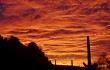 Ironwood Forest, Arizona