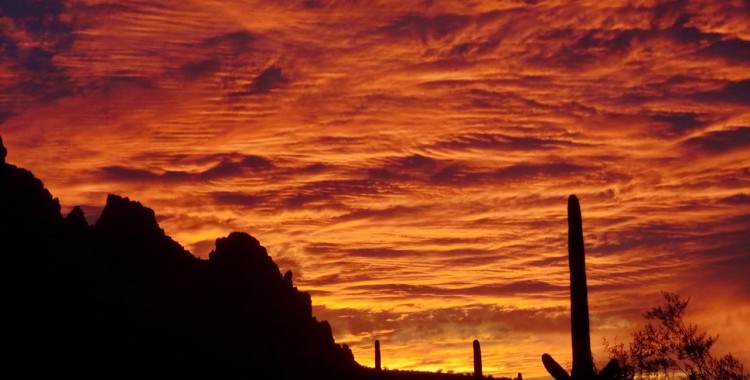 Ironwood Forest, Arizona