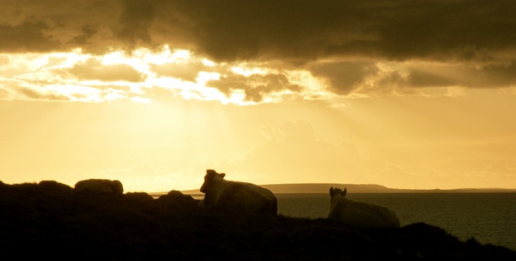 Western Ireland