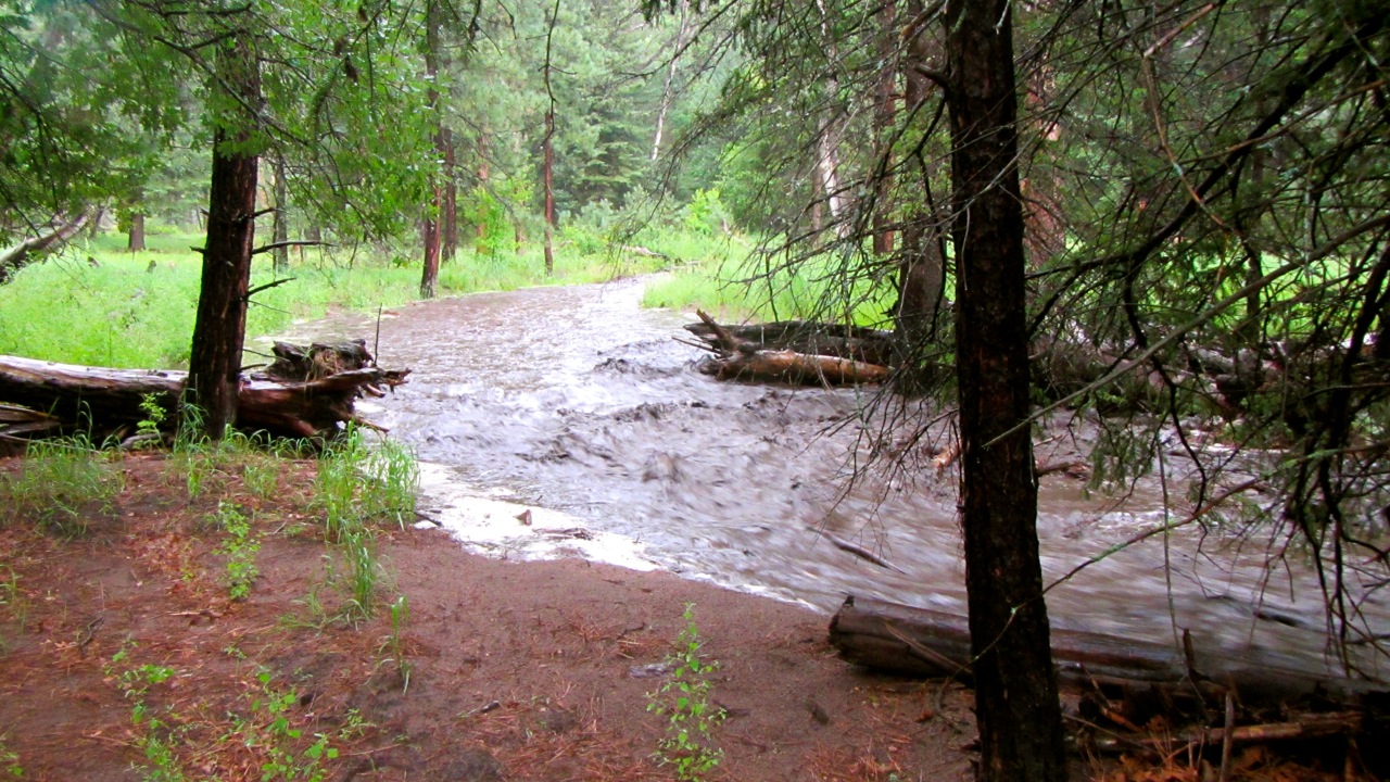 Flash flood!