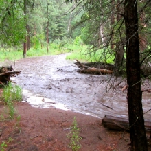 Flash flood!