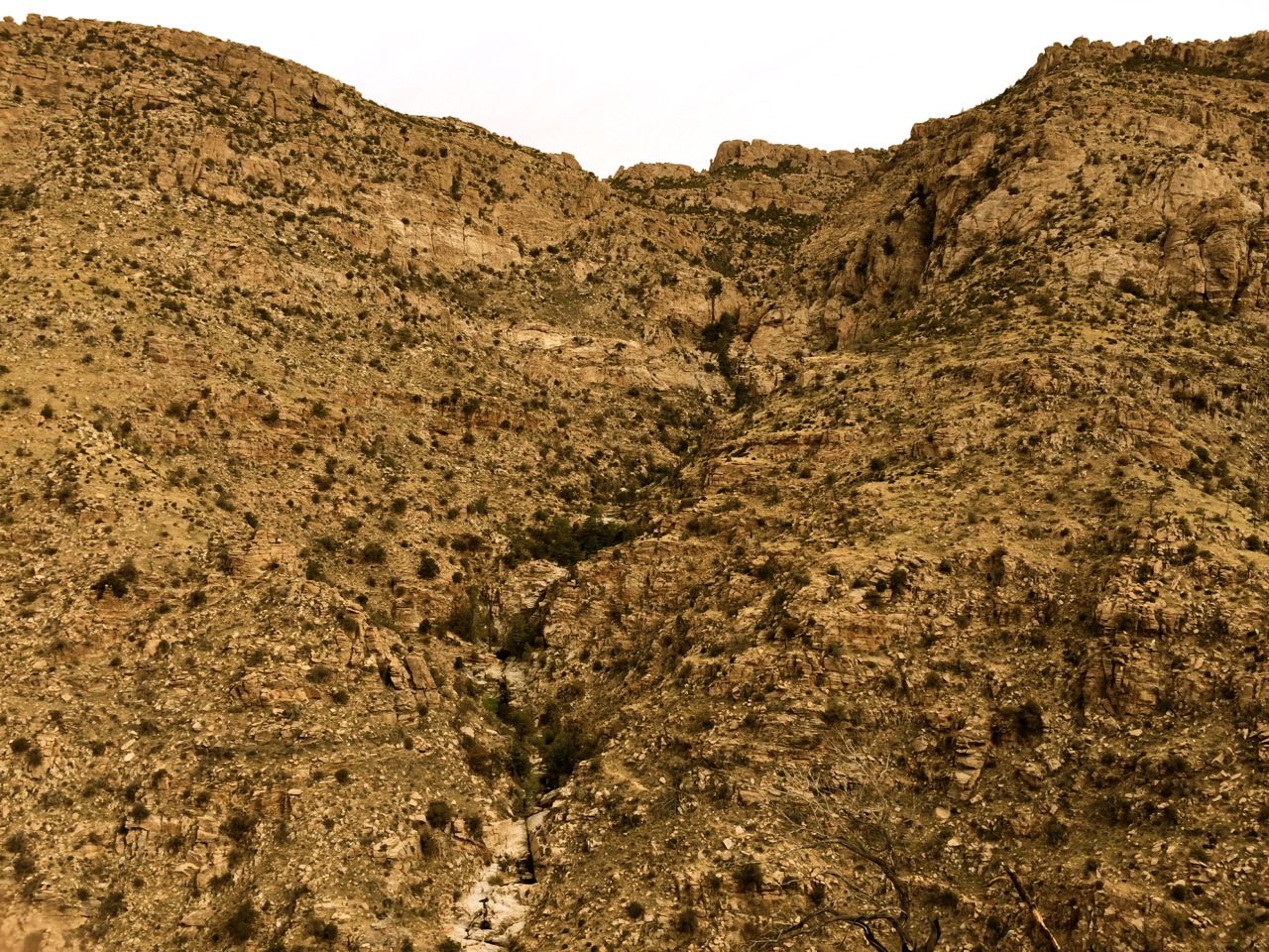 An external view of bear canyon #1