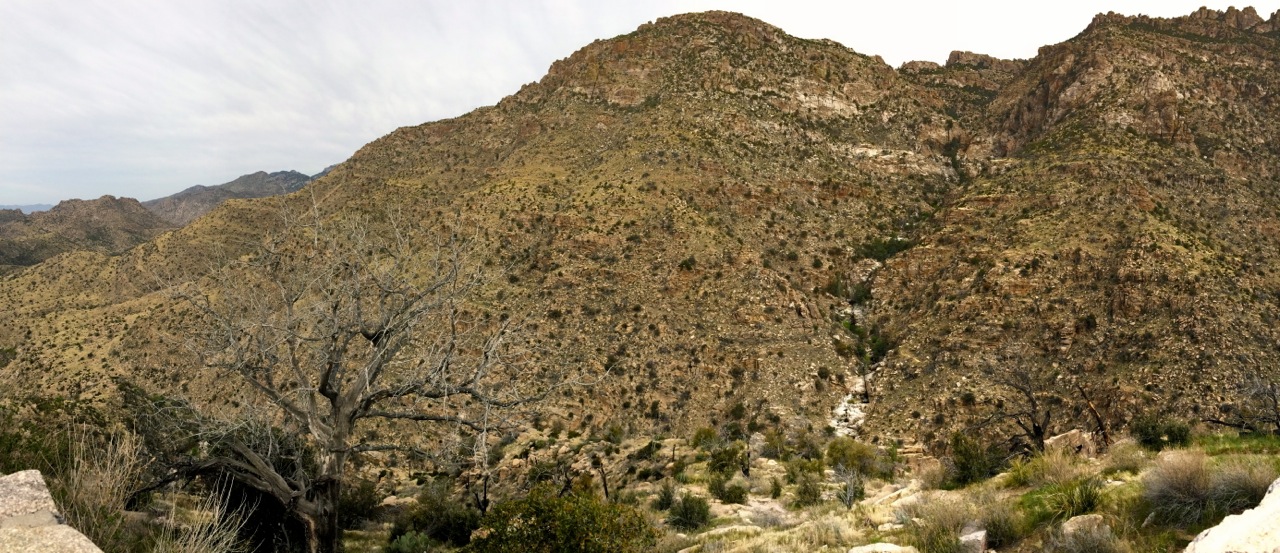 A view of bear canyon
