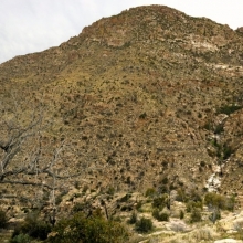 A view of bear canyon