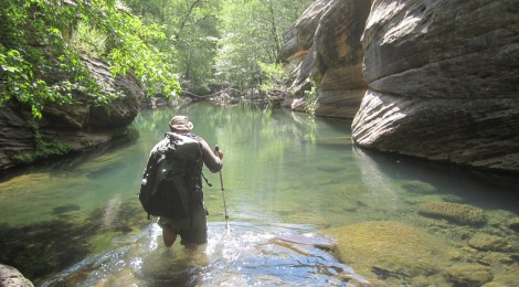 Wet Beaver Creak, Arizona