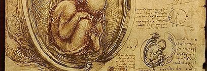 The Life and Work of Leonardo da Vinci
