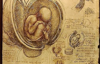 The Life and Work of Leonardo da Vinci