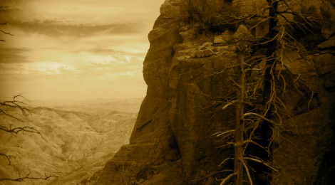 Catalina State Park, Arizona