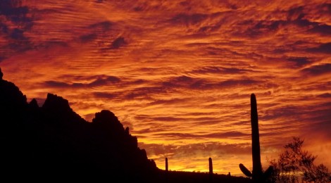 Ironwood Forest, Arizona