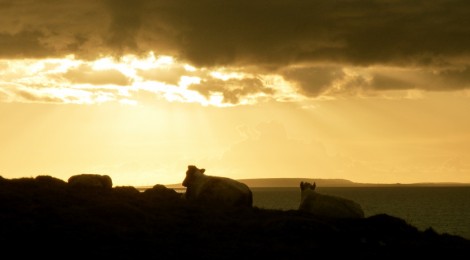 Western Ireland