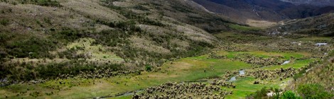 Cocuy, Colombia