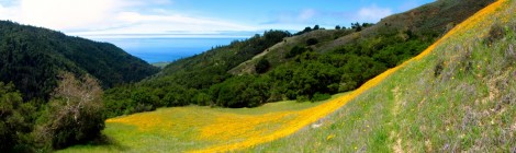 Prewitt loop trail, Big Sur, California