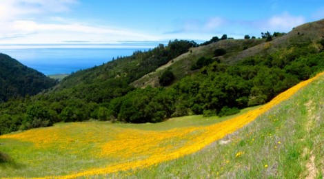 Prewitt loop trail, Big Sur, California