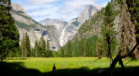 Yosemite National Park, California